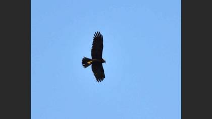 Tanımsız