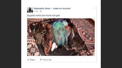 Tanımsız