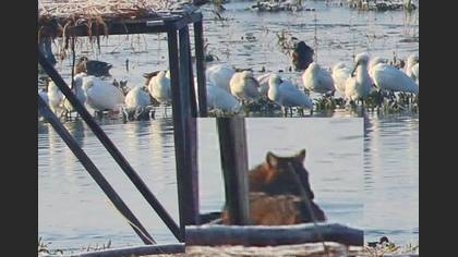 Tanımsız