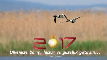 Tanımsız