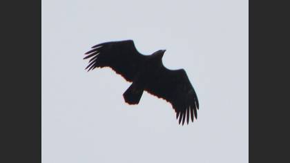 Tanımsız