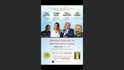 Tanımsız