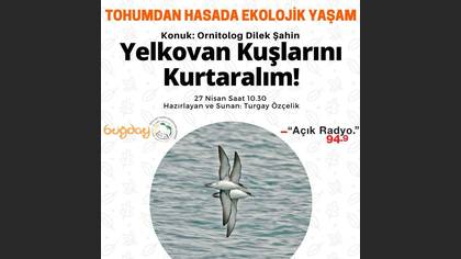 Tanımsız