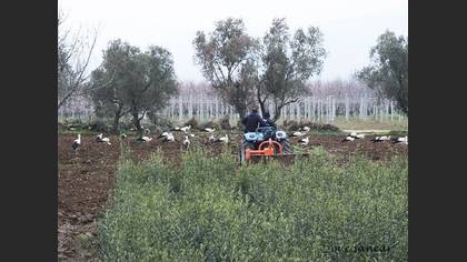 Tanımsız