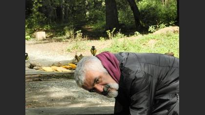 Tanımsız