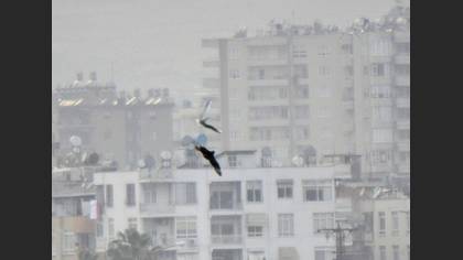 Tanımsız