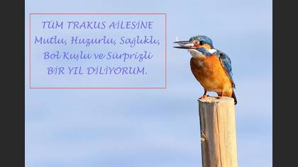 Tanımsız