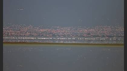Tanımsız