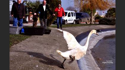 Tanımsız