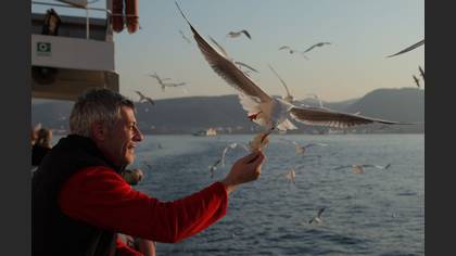 Tanımsız