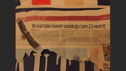 Tanımsız
