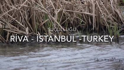 Suçulluğu