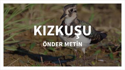 KIZKUŞU...ÖNDER METİN