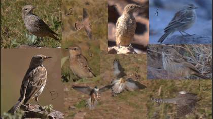 Undefined