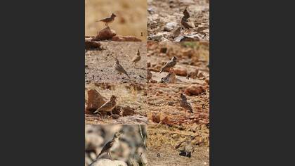 Undefined