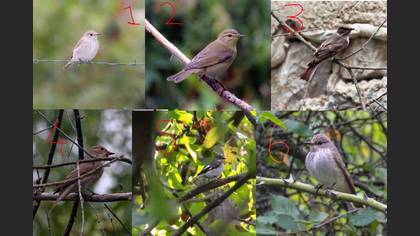 Undefined