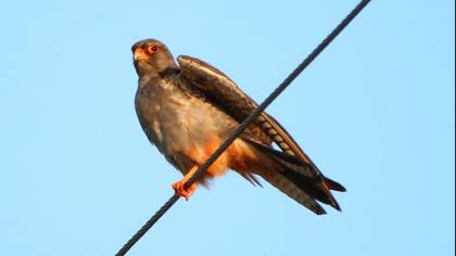 Undefined