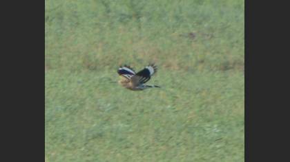 Undefined