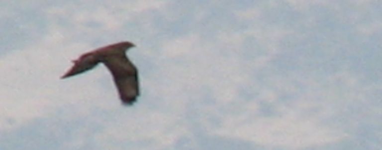 Tanımsız
