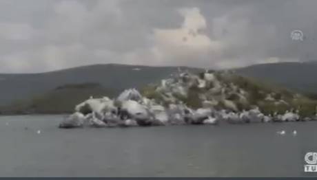 Binlerce Kuş Göç İçin Hazırlanıyor  Çıldır Gölü