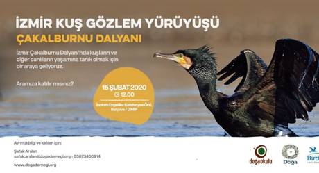 Doğa Derneği Gözlem Yürüyüşü 15 Şubat
