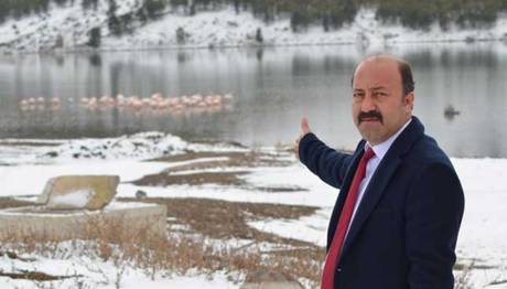 13 Flamingo Açlık ve Soğuktan Hayatını Kaybetti