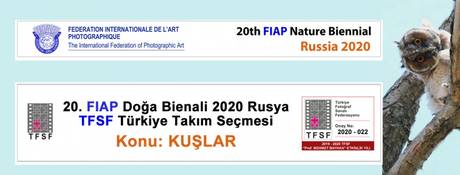 20. FIAP Doğa Bienali 2020 Rusya TFSF Türkiye Takım Seçmesi Konusu Kuşlar