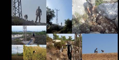 Adana ve Mersin Bölgesinde 2019 Sonbahar Göç Döneminde Elektrik Hatlarına Bağlı Ölümlerle İlgili Araştırma