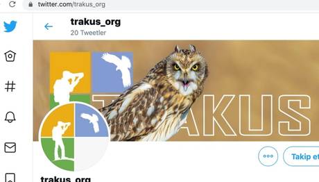 Türkiye'nin Kuşları Şimdi de Twitter'da!