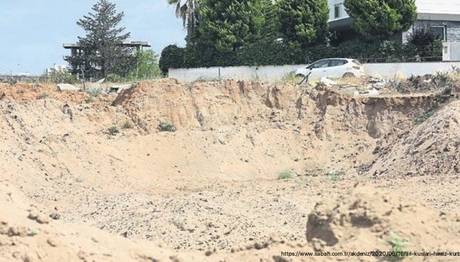 Antalyada Arı Kuşları Hırsız Kurbanı 