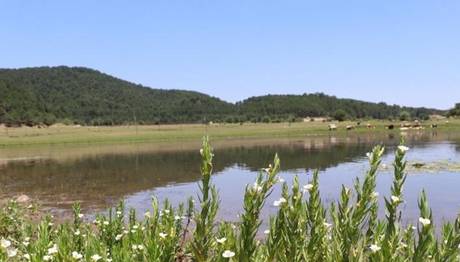 Kuş cenneti 'Yayla Gölü' kesin korunacak hassas alan ilan edildi