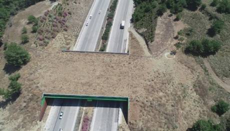 İzmir-Çeşme Otoyolu'nda yaban hayvanlarını korumak için yapılan ekolojik köprü tamamlandı