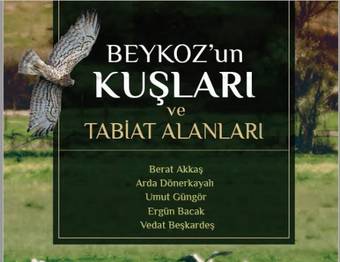 Beykozun Kuşları ve Tabiat Alanları