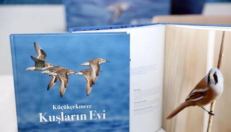 Küçükçekmece: Kuşların Evi