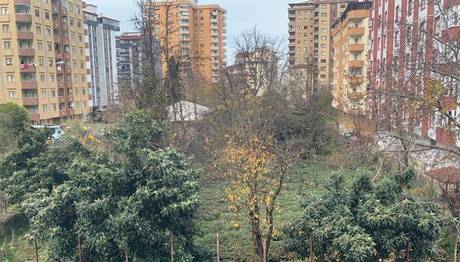 BALKON GÖZLEMLERİ