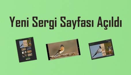 Yeni Sergi Sayfası Açıldı