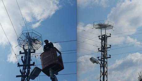 Kırklareli'de Güvenli Leylek Platformları Yerleştirildi