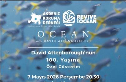 Ocean With David Attenborough Belgeseli