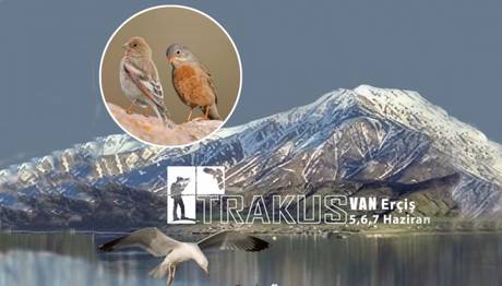 20 Mayıs Son Kayıt Tarihi