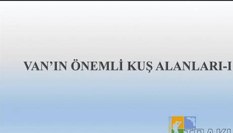 Van'a Gelmeden İzleyin