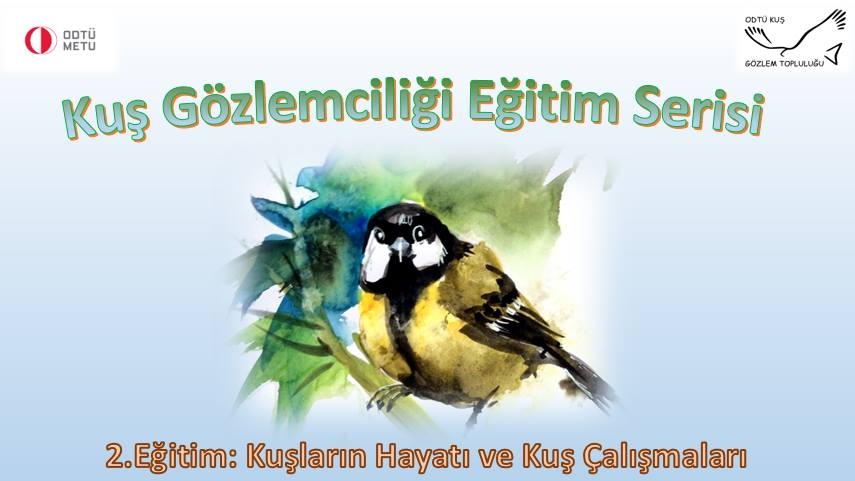 kus-gozlemciligi-egitim-serisi-1--ve-2--egitim-ve-arazi-egitimi