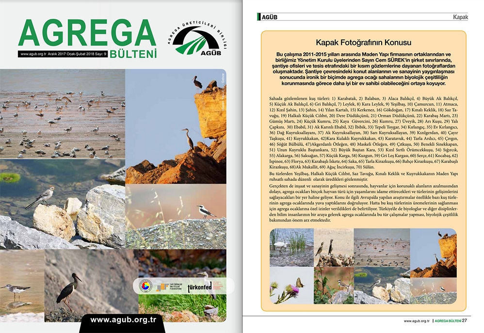 madencilik-bulteninde-uyemizin-kus-fotograf--ve-gozlemleri