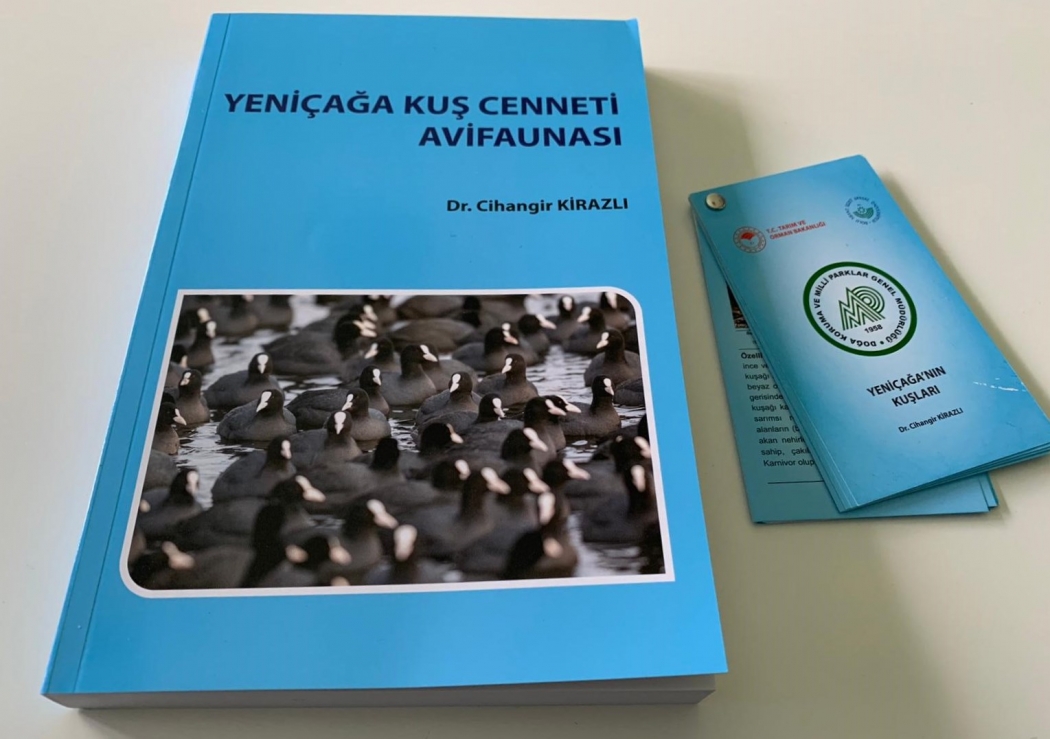 yenicaga-kus-cenneti-avifaunasi