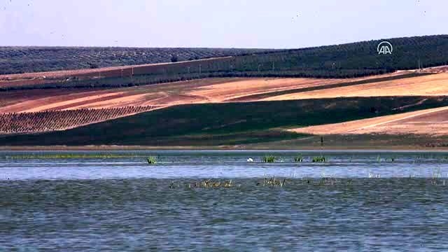 reyhanli-barajinda-kus-turu-sayisi-129a-yukseldi