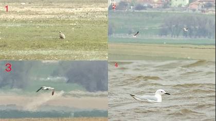 Tanımsız