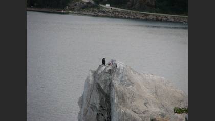 Tanımsız
