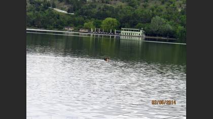 Tanımsız