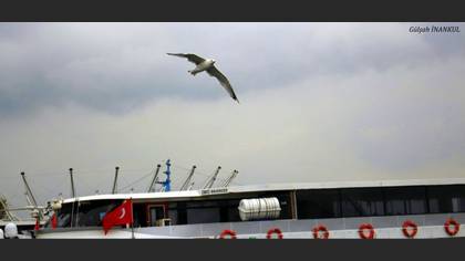 Tanımsız