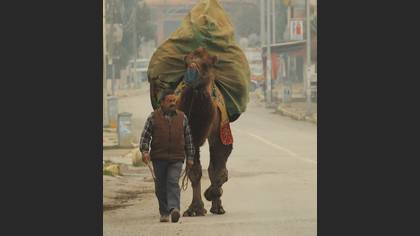 Tanımsız