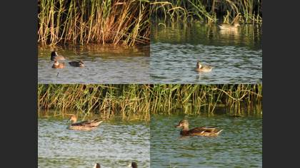 Tanımsız